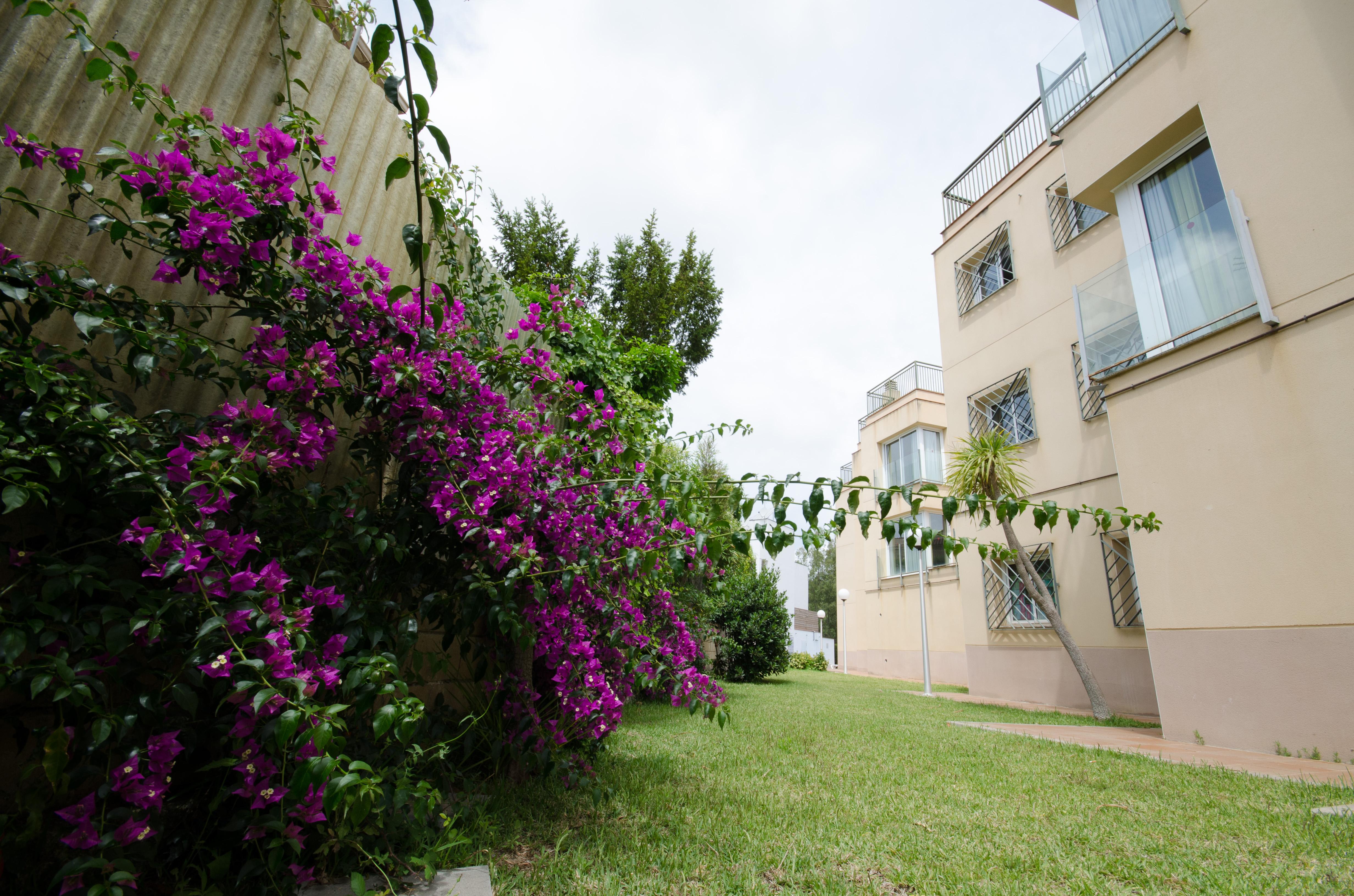 Appart hôtel Els Llorers 2*